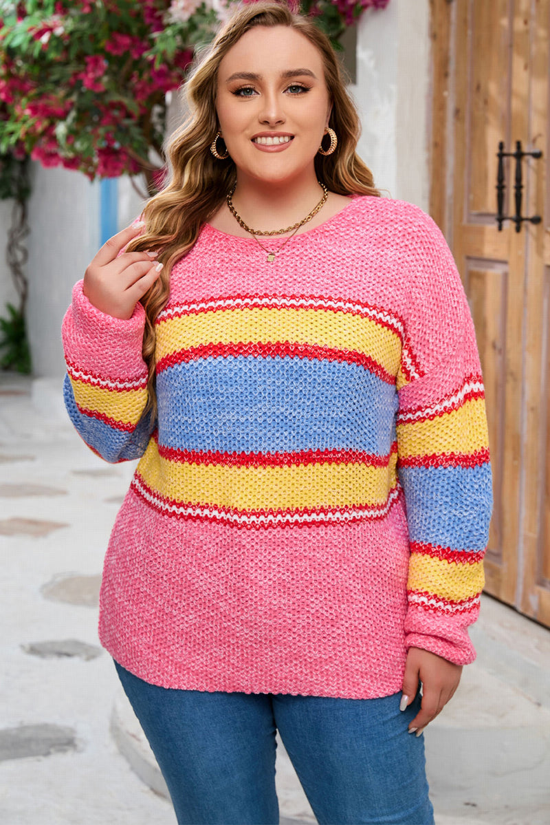 Bryce Plus Size Color Block Round Neck Long Sleeve Sweater