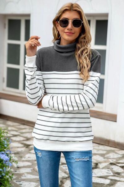 Ragan Striped Contrast Turtleneck Sweater
