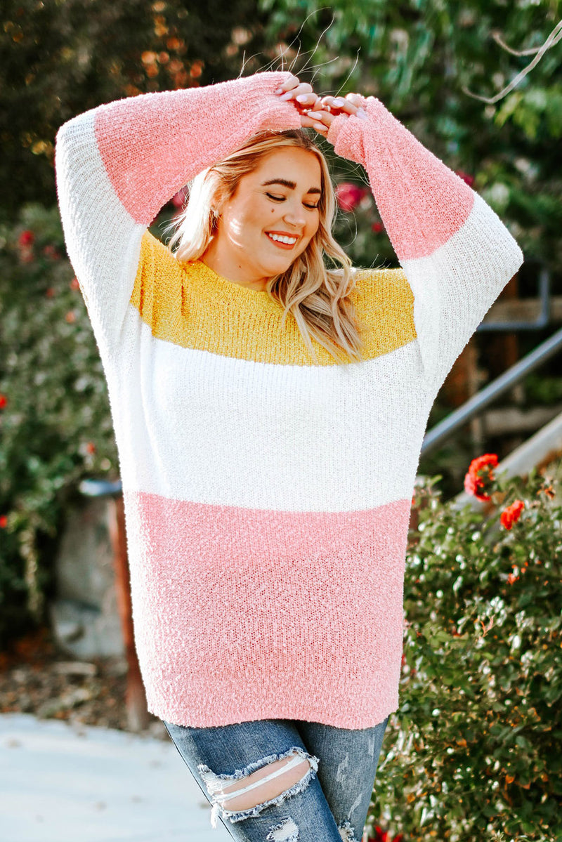 Kayla Plus Size Color Block Round Neck Sweater