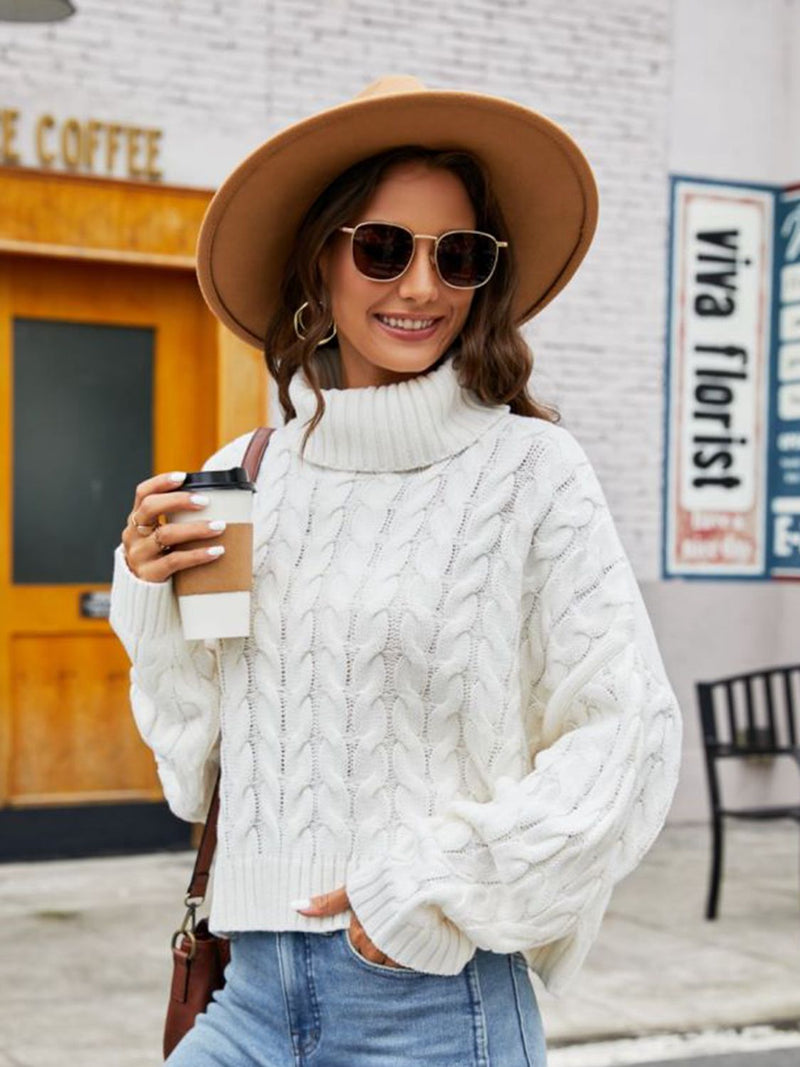Kyra Turtle Neck Cable-Knit Sweater