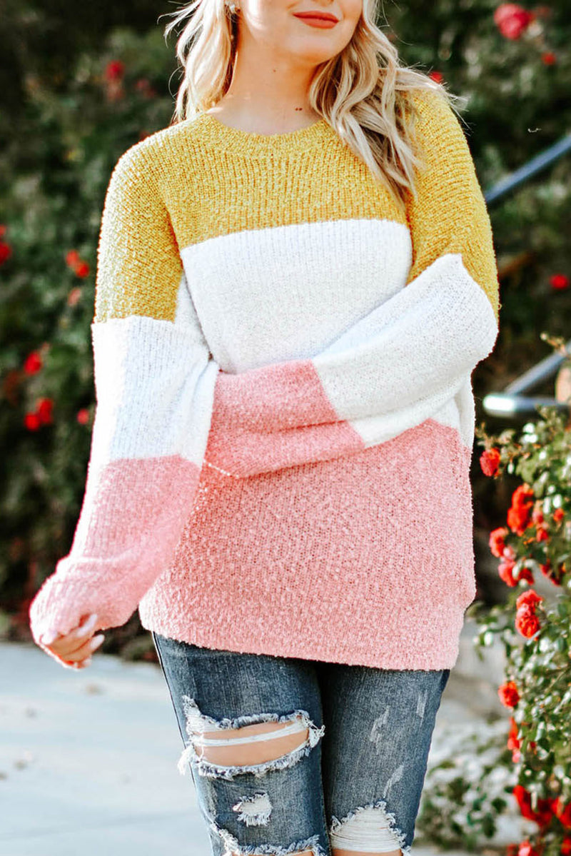Kayla Plus Size Color Block Round Neck Sweater